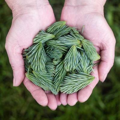 自动化智能系统工业